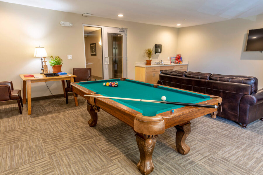 Cayuga View game room
