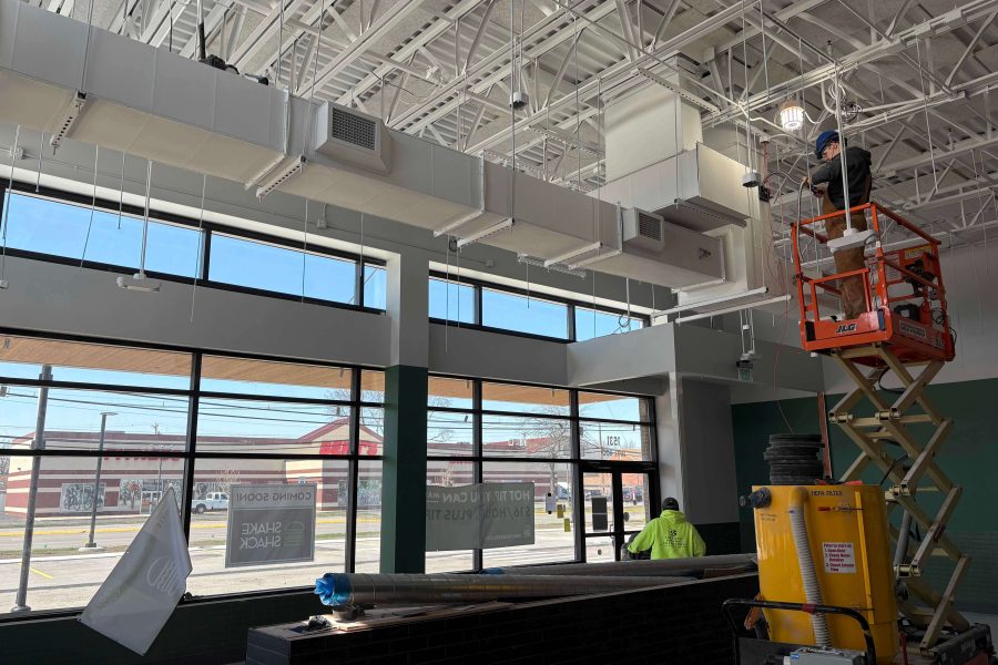 Shake Shack - Amherst