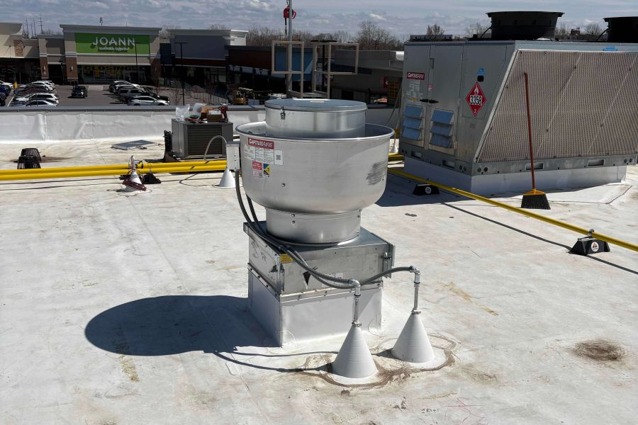 Shake Shack - Amherst