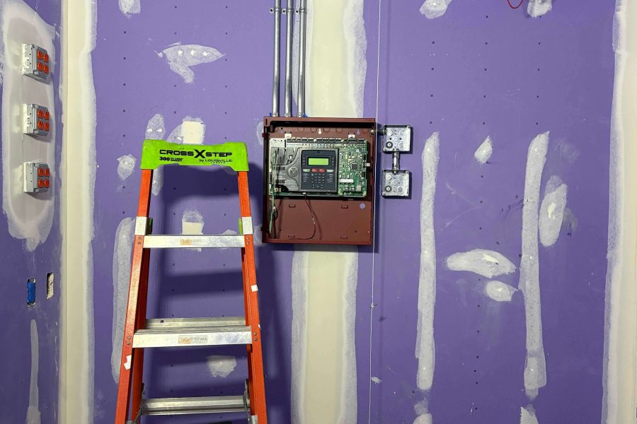 Shake Shack - Amherst