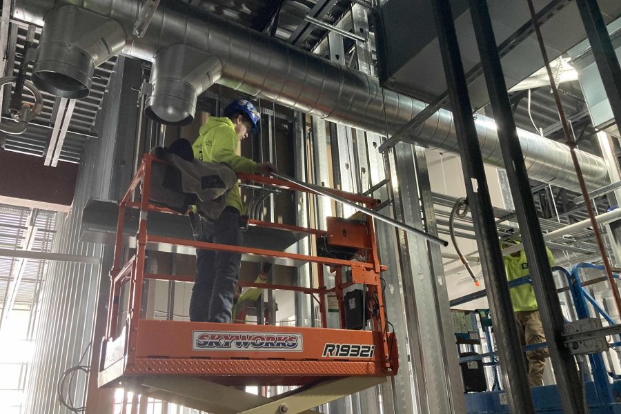 Shake Shack - Amherst