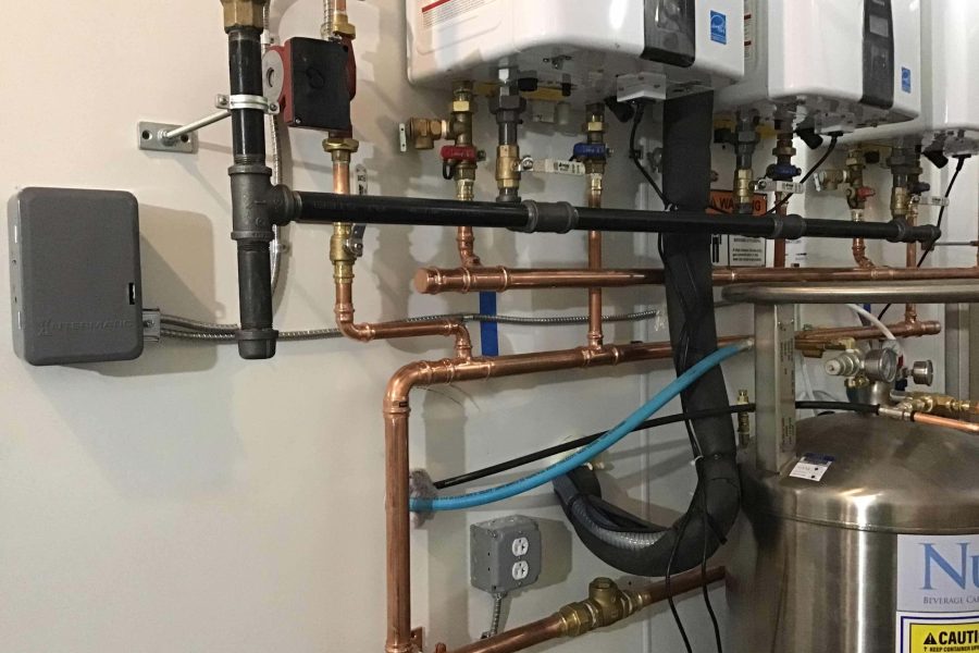 Shake Shack - Amherst