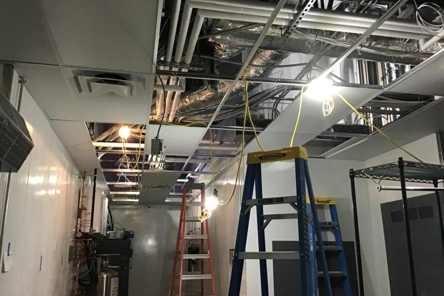 Shake Shack - Amherst