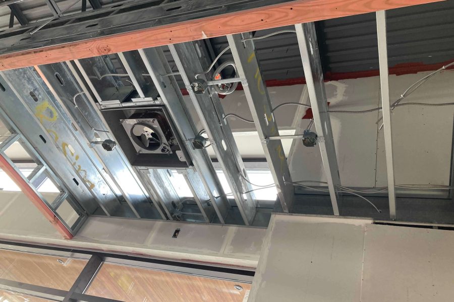 Shake Shack - Amherst