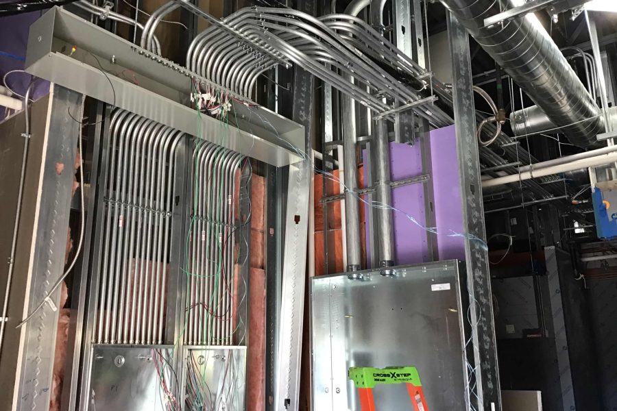 Shake Shack - Amherst