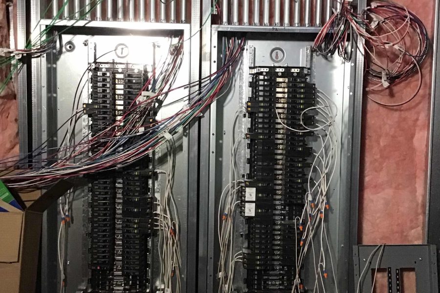 Shake Shack - Amherst