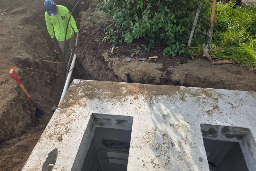 Shake Shack Shell - Greece