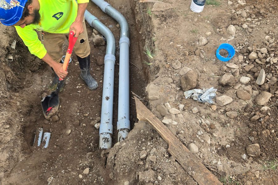 Shake Shack Shell - Greece