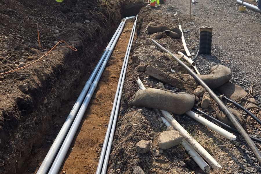 Shake Shack Shell - Greece