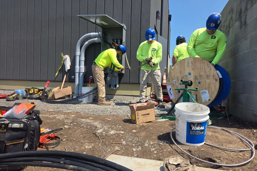 Shake Shack Shell - Greece